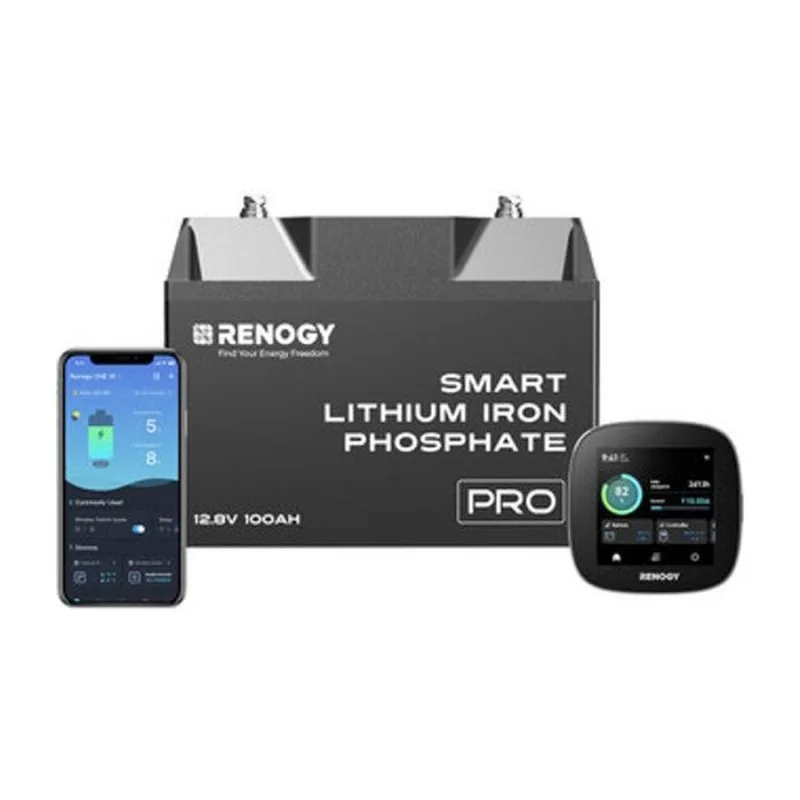Renogy 12 V 100 Ah Pro (auto-chauffante)